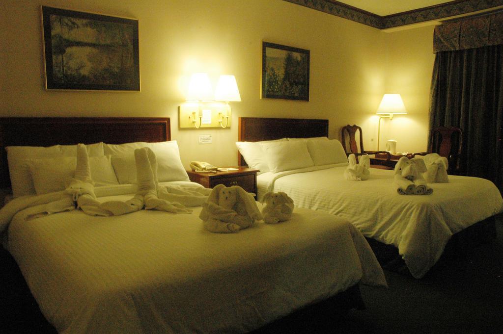 Tagaytay Country Hotel Tagaytay City Bilik gambar